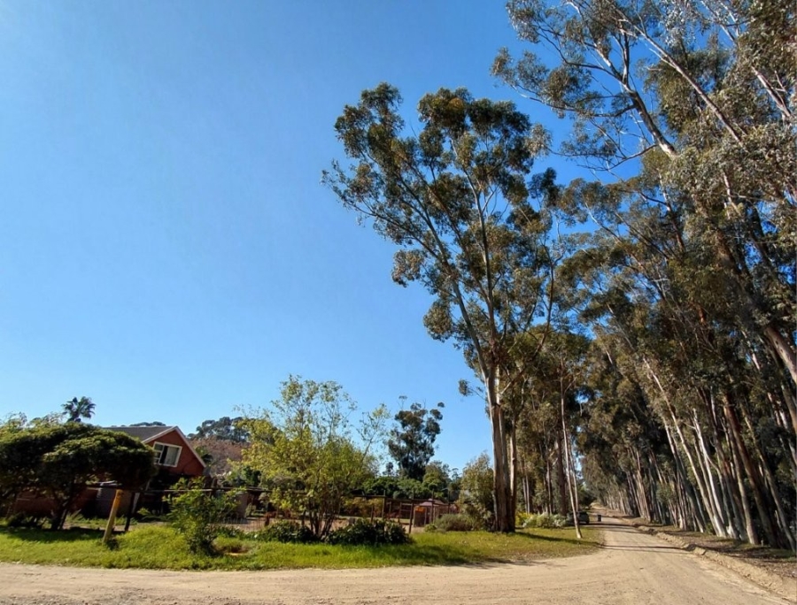 5 Bedroom Property for Sale in Penhill Western Cape